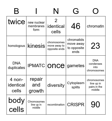 Mitosis and Meiosis BINGO Card