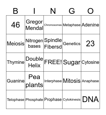 Kristian,Jamal,Abbey Bingo Card