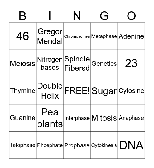Kristian,Jamal,Abbey Bingo Card