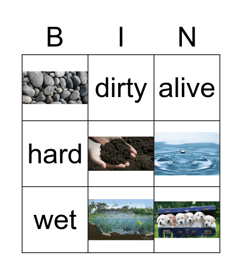 Observing Earth's Surface Bingo Card