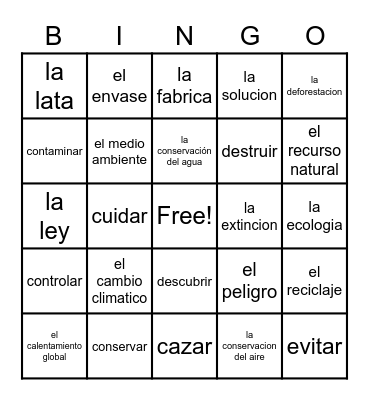 Vocabulary Bingo Card