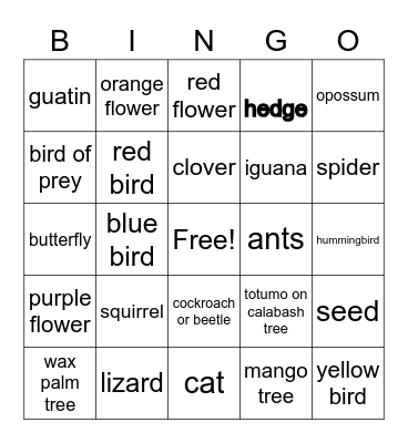 BOLIVAR PLANTS & ANIMALS Bingo Card