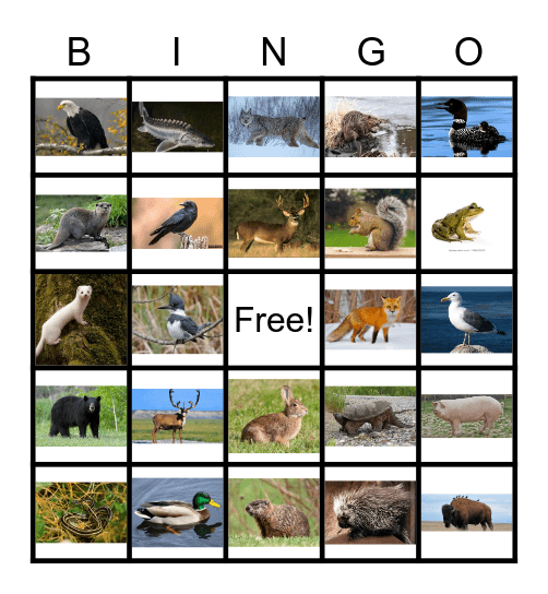 Aya'aawishag - Wild Animals Bingo Card