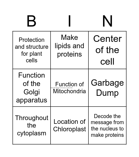 Bingo card 4 Bingo Card