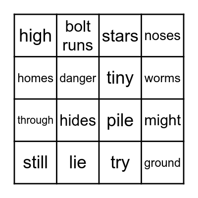 1.3  Lights in the Night Sky/Moles Bingo Card