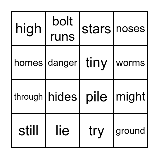 1.3  Lights in the Night Sky/Moles Bingo Card