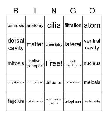 Anatomy & Physiology I Bingo Card