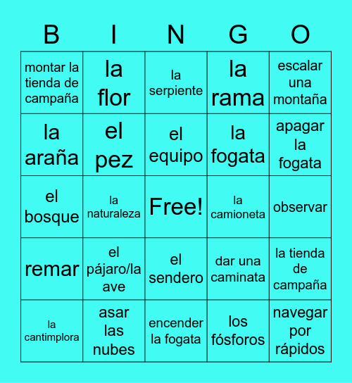 Vocabulario U4 Parte 1 Bingo Card