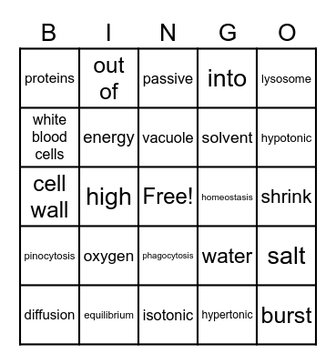 Homeostasis and Transport Bingo Card