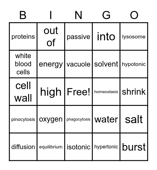 Homeostasis and Transport Bingo Card