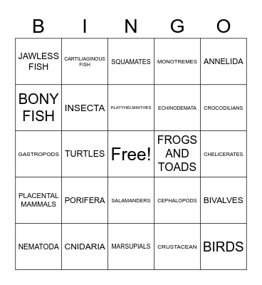 ANIMAL PHYLUM BINGO Card