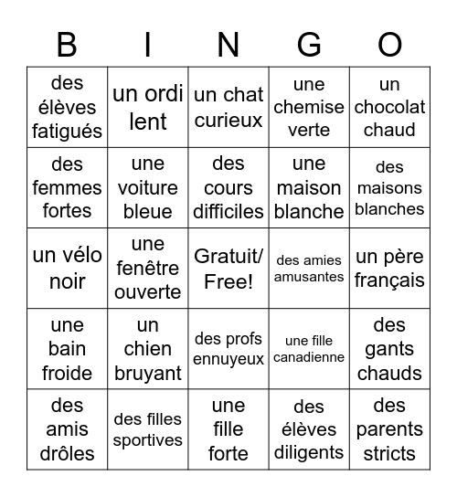 La Placement des Adjectifs Bingo Card