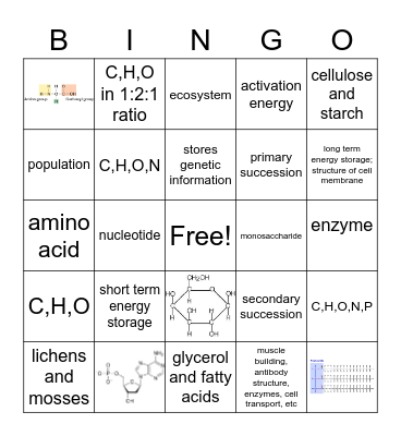 Biology Semester Review (Biomolecule) Bingo Card