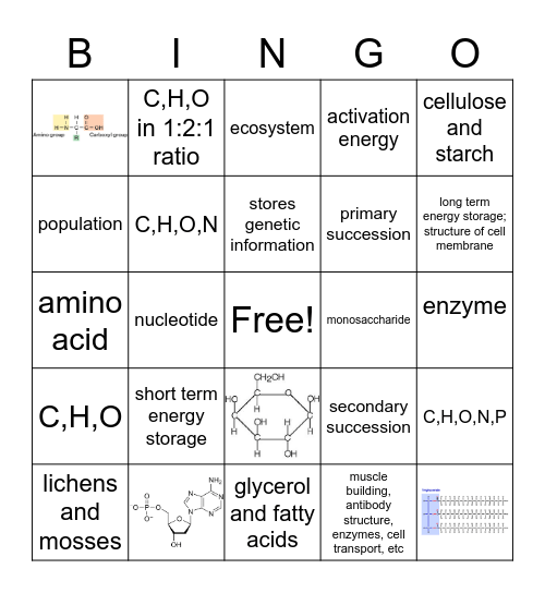 Biology Semester Review (Biomolecule) Bingo Card