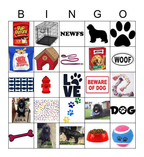 NEWFOUNDLAND BINGO Card
