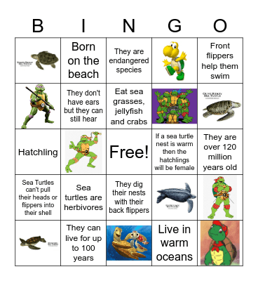 Sea Turtle Facts and Fun Bingo Card