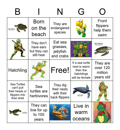 Sea Turtle Facts and Fun Bingo Card