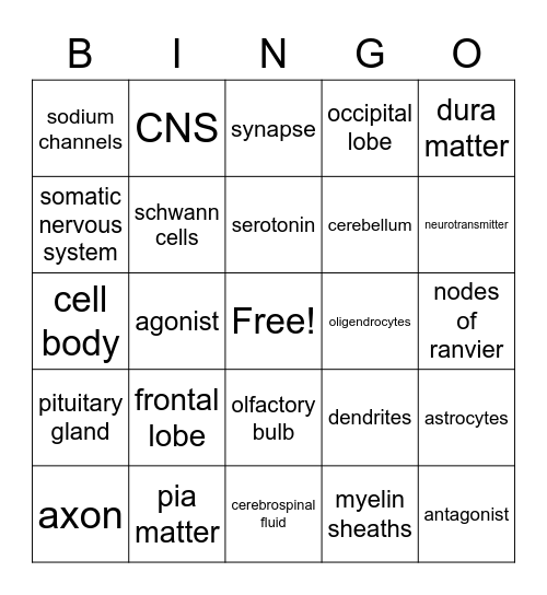 nervous system Bingo Card
