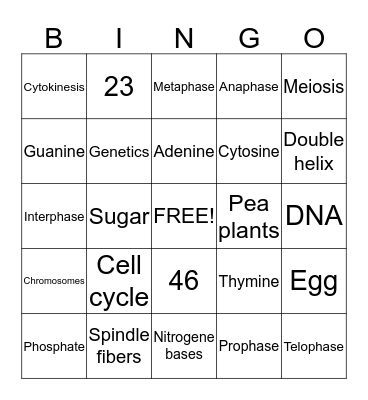 Mrs. Wakefield  Bingo Card