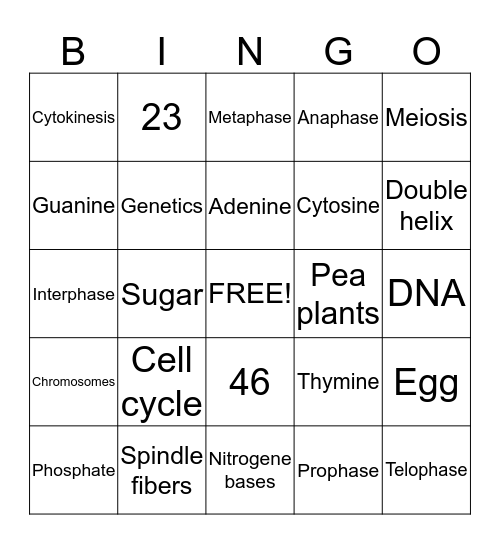 Mrs. Wakefield  Bingo Card