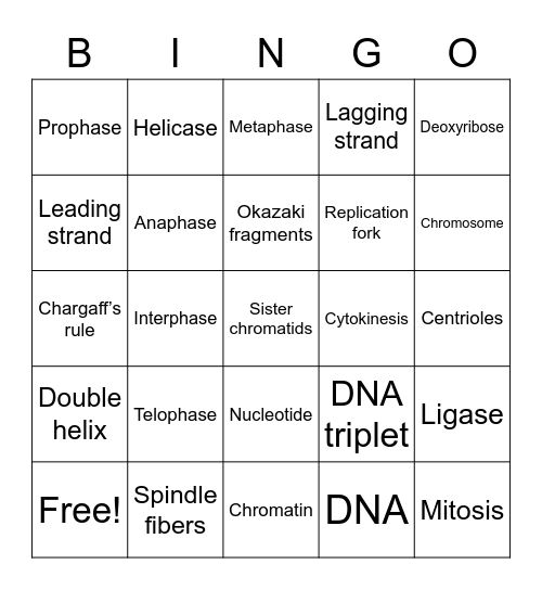 biology vocab Bingo Card