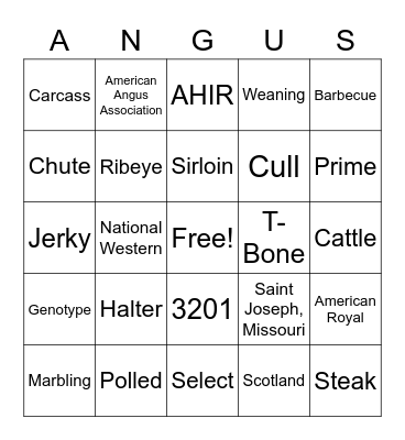Angus Bingo Card