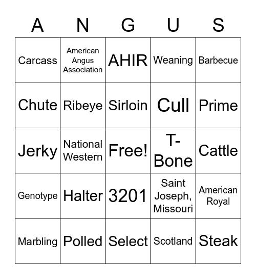 Angus Bingo Card