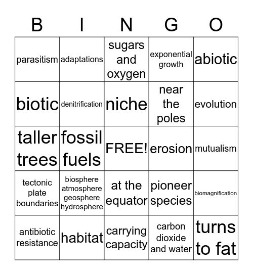 Environmental Midterm Review Bingo Card