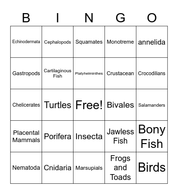 Animal Phylum Bingo Card