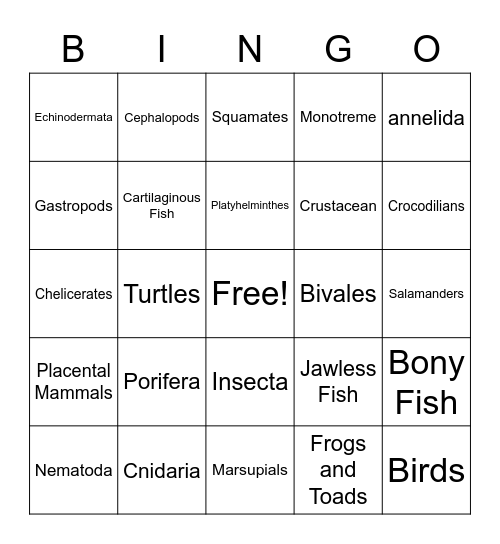 Animal Phylum Bingo Card