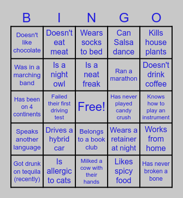 Ice Breaker BINGO Card