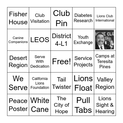 Lions Bingo Card