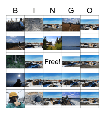 holiday test bingo Card