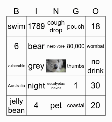 Savannah's Koala Bingo Card