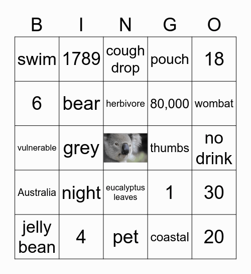 Savannah's Koala Bingo Card