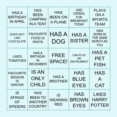 FIND SOMEONE WHO Bingo Card