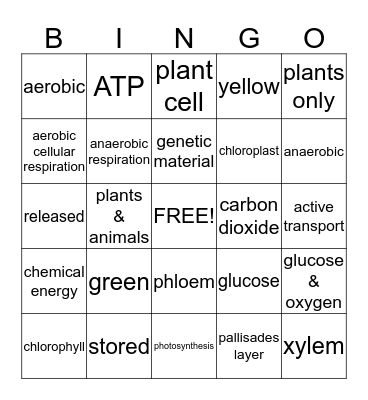 Energy Bingo Card