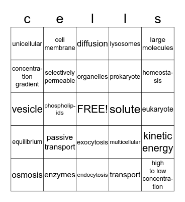 Cells and Transport Bingo Card