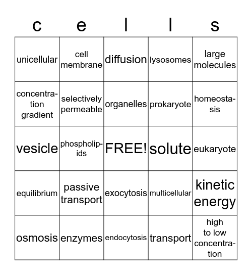 Cells and Transport Bingo Card