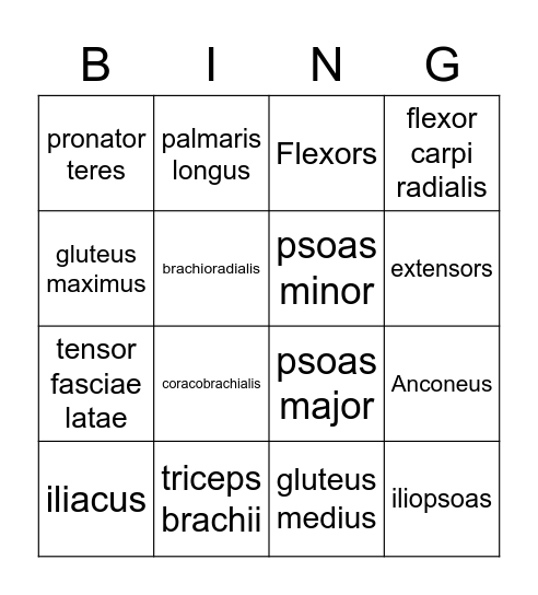Muscles of Upper Limbs and Glutes Bingo Card