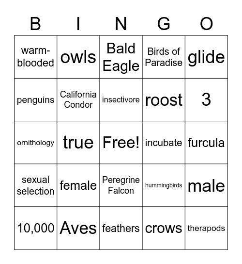 Birds Quarter Review Bingo Card