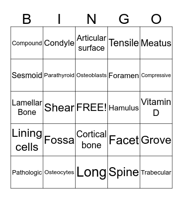 Bone Unit Bingo Card