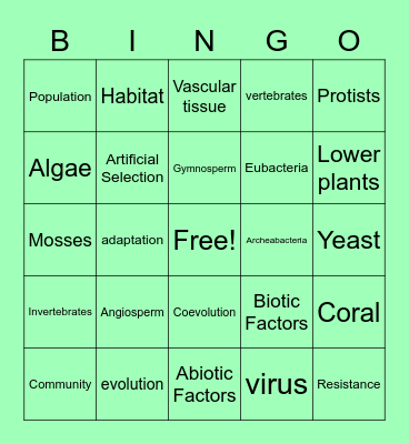 Environmental Bingo Card