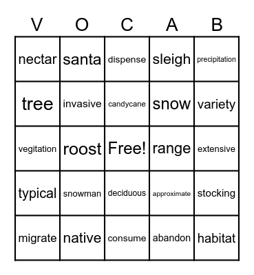 Vocabulary Bingo Card