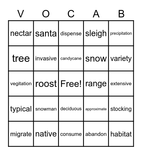 Vocabulary Bingo Card