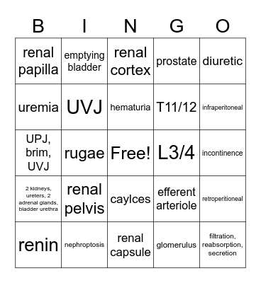 urinary system Bingo Card
