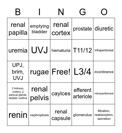 urinary system Bingo Card