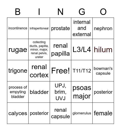 Urinary System Bingo Card