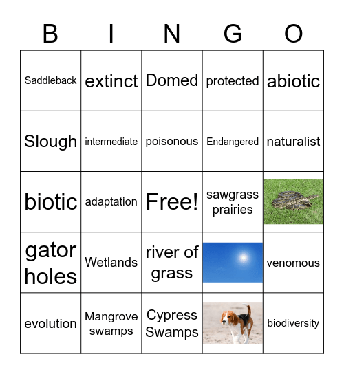 Environmental Science Bingo Card