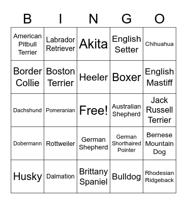 GUESS WHAT HARRY IS Bingo Card